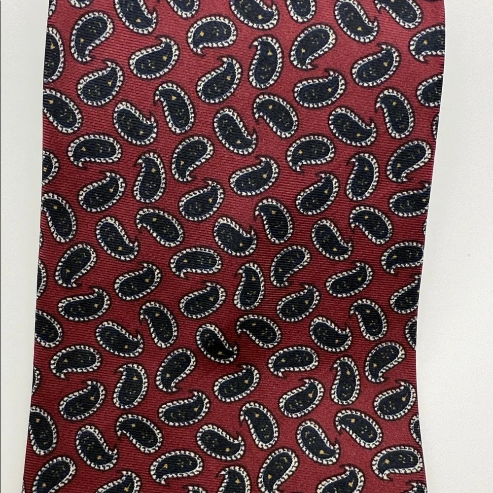 Accents by Isaac Zelcer Paisley Tie,Office,Wedding, Party
